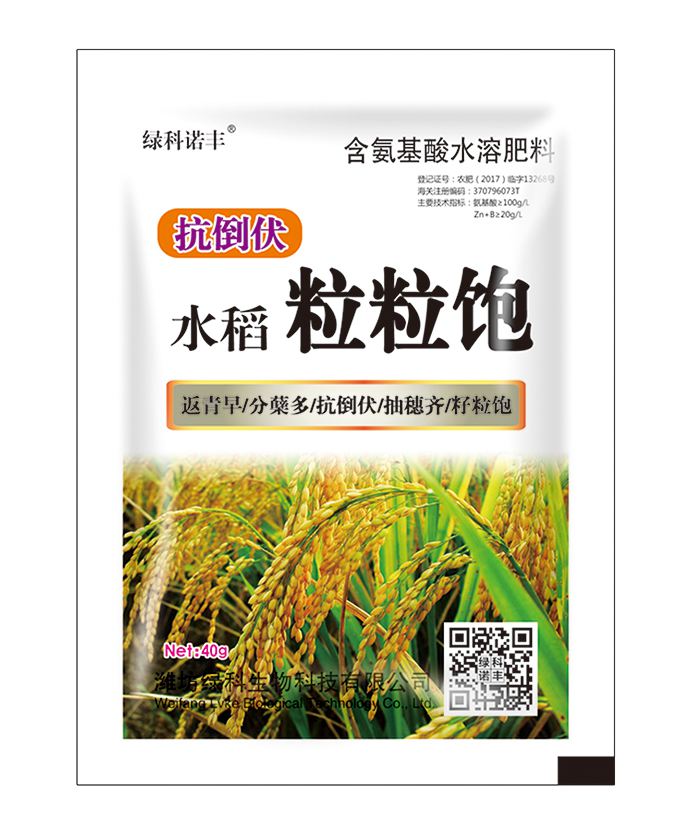 抗倒伏 水稻粒粒饱 40g单袋