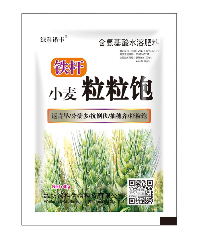 铁杆 小麦粒粒饱 40g单袋